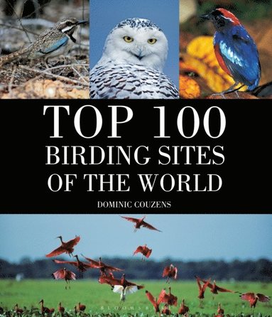 Top 100 Birding Sites Of The World (e-bok)