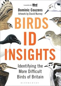Birds: ID Insights (e-bok)