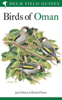 Birds of Oman (e-bok)