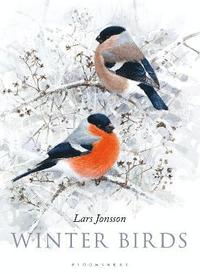 Winter Birds (inbunden)