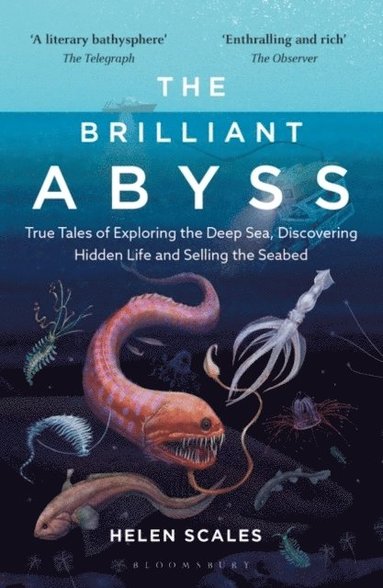 The Brilliant Abyss (hftad)