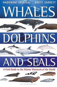 Whales, Dolphins and Seals (häftad)