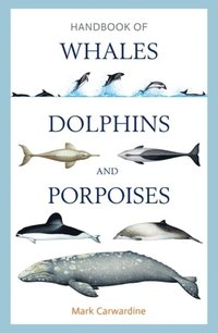 Handbook of Whales, Dolphins and Porpoises (e-bok)