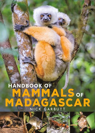 Handbook of Mammals of Madagascar (h�ftad)