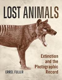 Lost Animals (häftad)