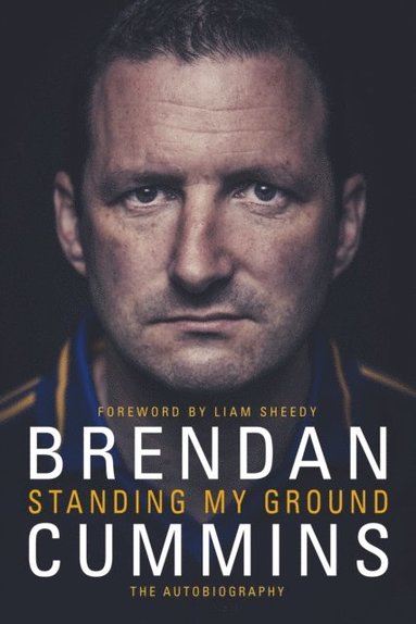 Standing My Ground (e-bok)