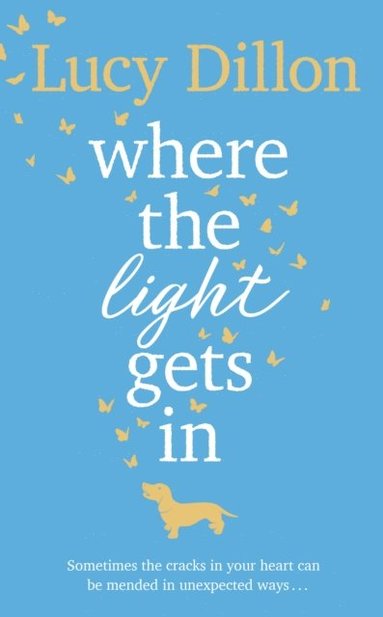 Where The Light Gets In (häftad)
