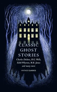 Classic Ghost Stories (e-bok)