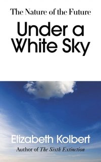 Under a White Sky (e-bok)