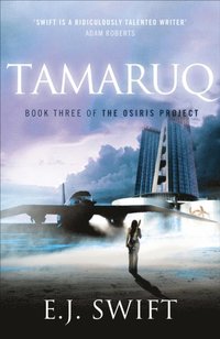 Tamaruq (e-bok)