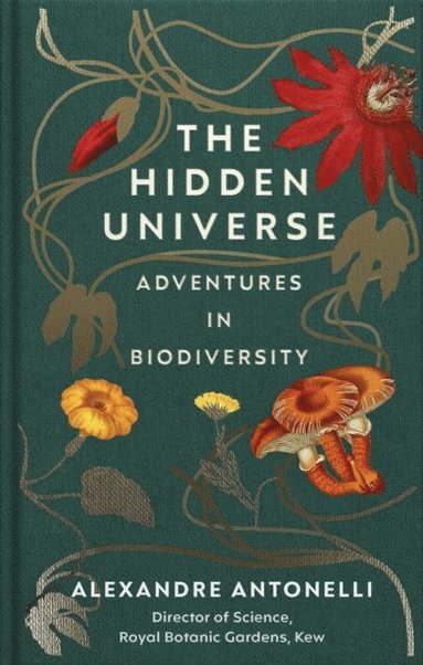 Hidden Universe (inbunden)