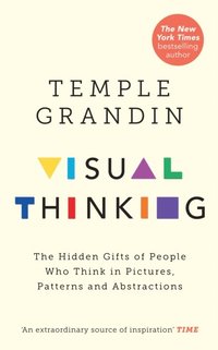 Visual Thinking (e-bok)