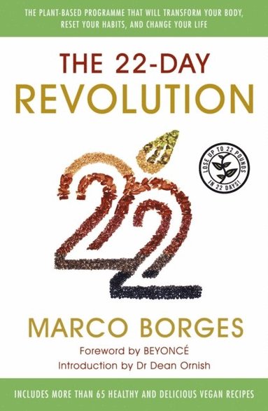 22-Day Revolution (e-bok)
