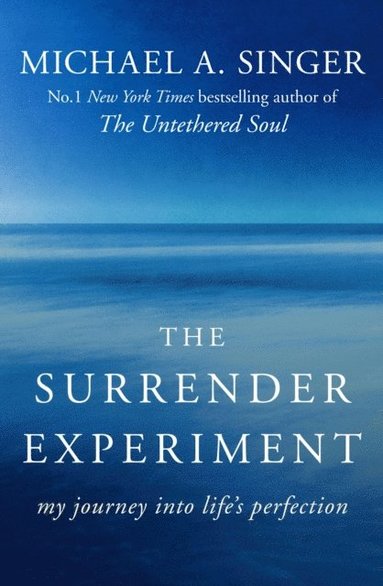 Surrender Experiment (e-bok)
