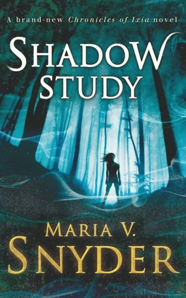 Shadow Study (e-bok)