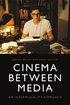 Cinema Between Media