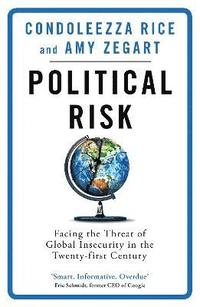 Political Risk (häftad)