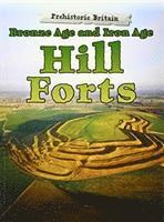 Bronze Age and Iron Age Hill Forts (hftad)