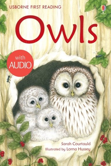 Owls (e-bok)