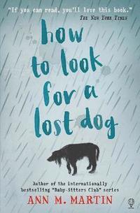 How to Look for a Lost Dog (hftad)