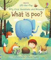 Very First Questions and Answers What is poo? (kartonnage)