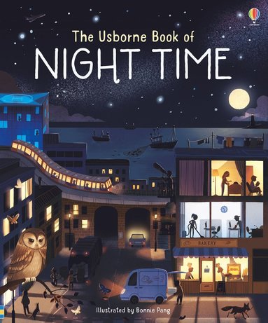 Usborne Book of Night Time (häftad)
