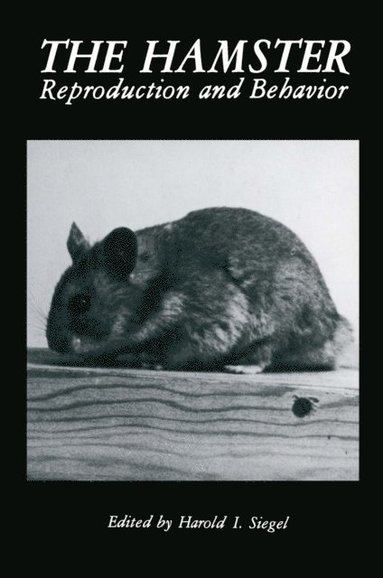 Hamster (häftad)