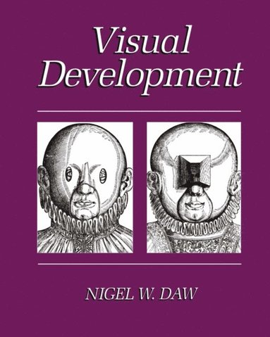 Visual Development (e-bok)