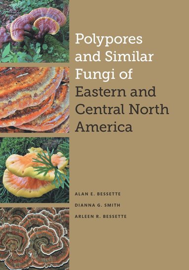 Polypores and Similar Fungi of Eastern and Central North America (häftad)