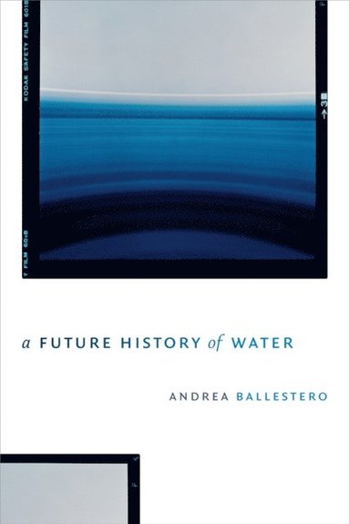 Future History of Water (e-bok)