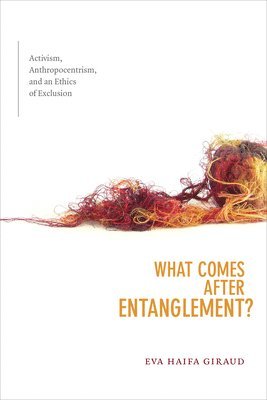 What Comes after Entanglement? (inbunden)
