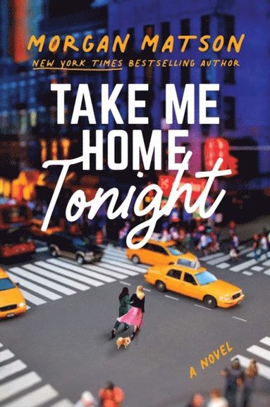 Take Me Home Tonight (e-bok)