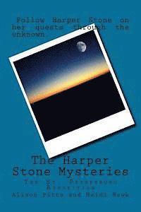 The Harper Stone Mysteries: The St. Pettersburg Apparition (häftad)