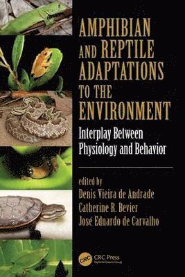 Amphibian and Reptile Adaptations to the Environment (inbunden)