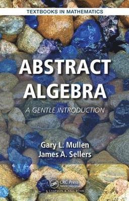 Abstract Algebra (häftad)