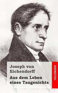 Aus dem Leben eines Taugenichts (hftad)