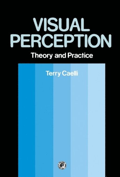 Visual Perception: Theory and Practice (e-bok)