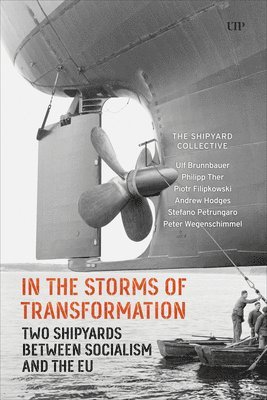 In the Storms of Transformation (inbunden)