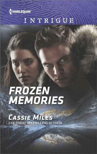 Frozen Memories (e-bok)