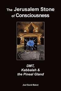 The Jerusalem Stone of Consciousness: DMT, Kabbalah and the Pineal Gland (häftad)