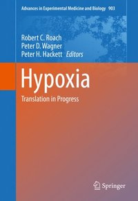 Hypoxia (e-bok)