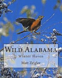 Wild Alabama: Winter Haven (hftad)