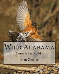 Wild Alabama: American Robin (hftad)