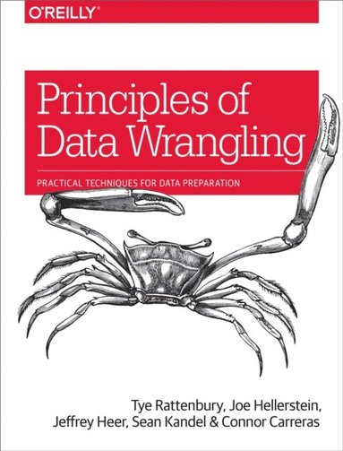 Principles of Data Wrangling (häftad)