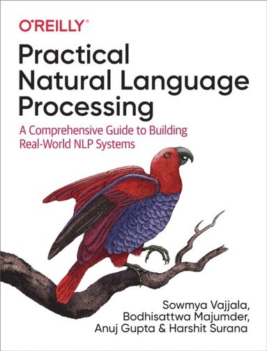 Practical Natural Language Processing (häftad)