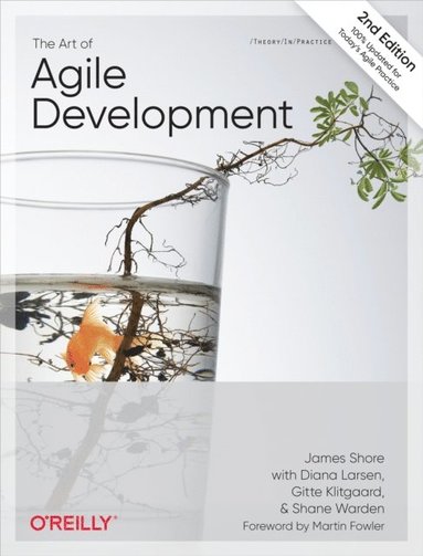 Art of Agile Development (häftad)