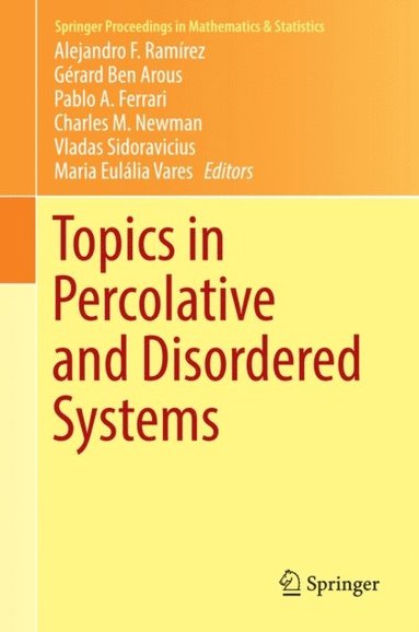 Topics in Percolative and Disordered Systems (e-bok)