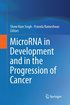 MicroRNA in Development and in the Progression of Cancer