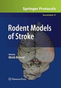 Rodent Models of Stroke (häftad)
