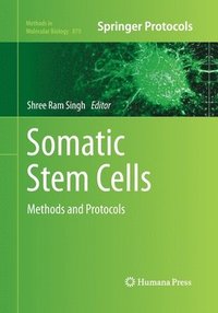 Somatic Stem Cells (hftad)